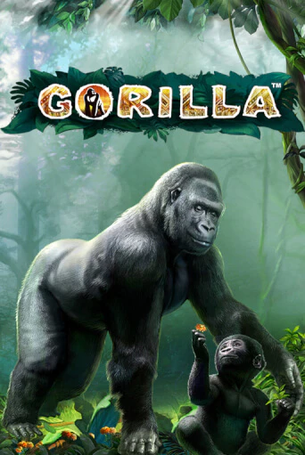 Gorilla играть онлайн | Va-Bank Casino без регистрации